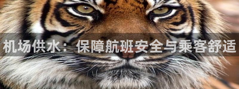 球友会app干啥的