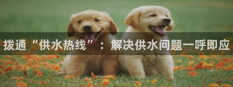 球友会app干啥的软件