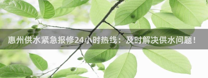 球友会app官网下载苹果