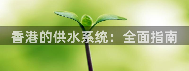 球友会QY