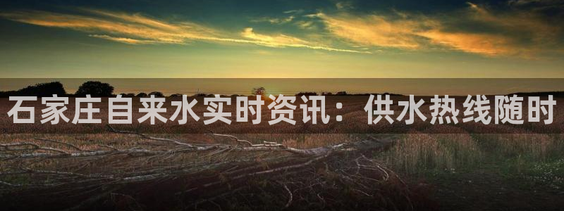 球友会app官方网站