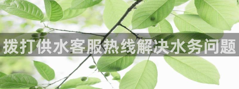 球友会友谊赛赛程