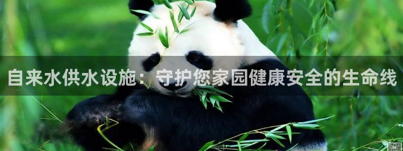 球友会官方网站