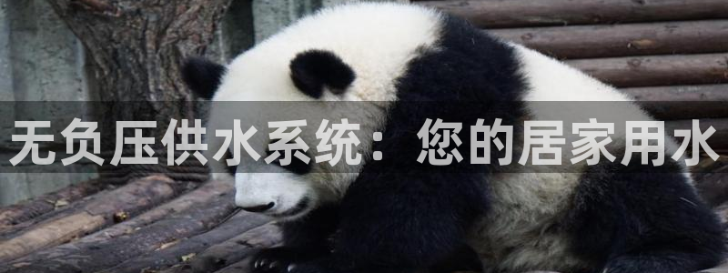 QY球友会体育官网
