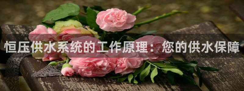 球友会台球俱乐部在哪