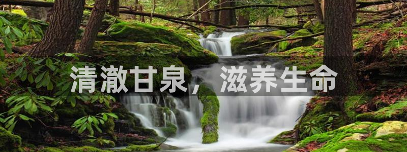 球友会官方网站入口