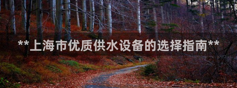 关键词