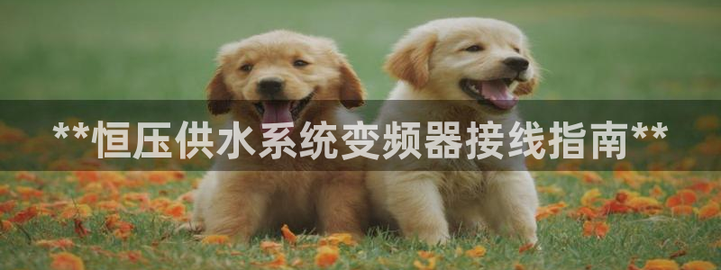 球友会app安全吗