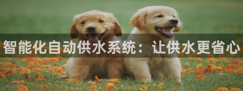 球友会能提现吗