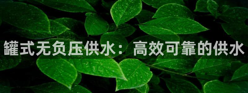 球友会比赛结果查询官网