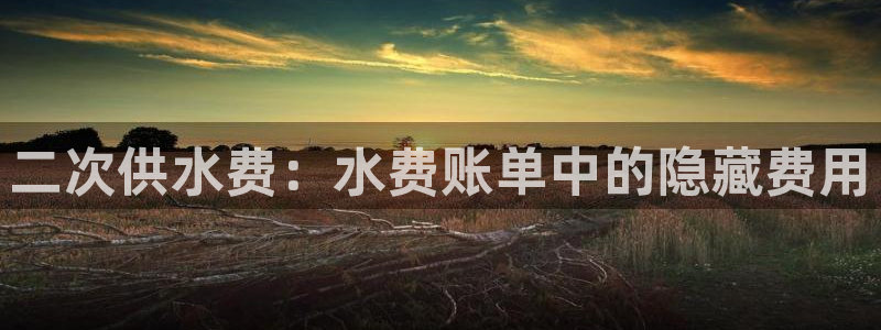 球友会体育app下载官网