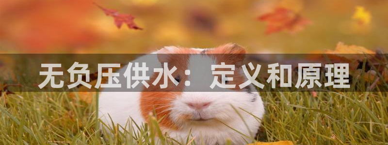 球友会登录网站怎么登录