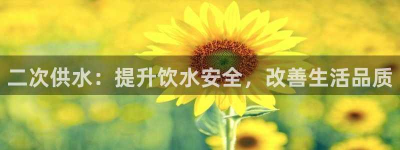 球友会登陆