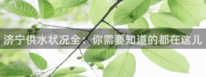球友会体育app下载官网安卓