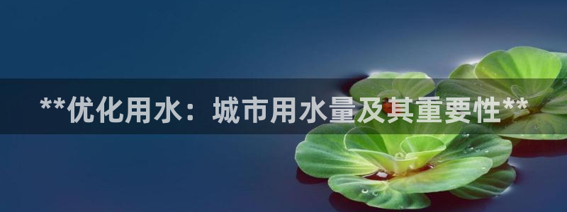 球友会赛程
