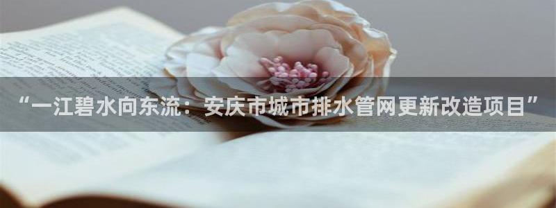 球友会官网入口在哪里