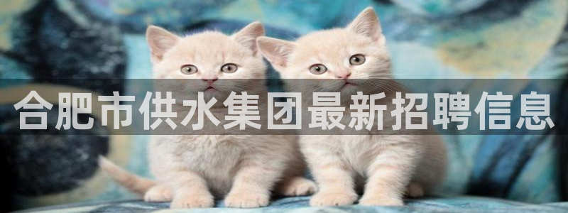 球友会提现