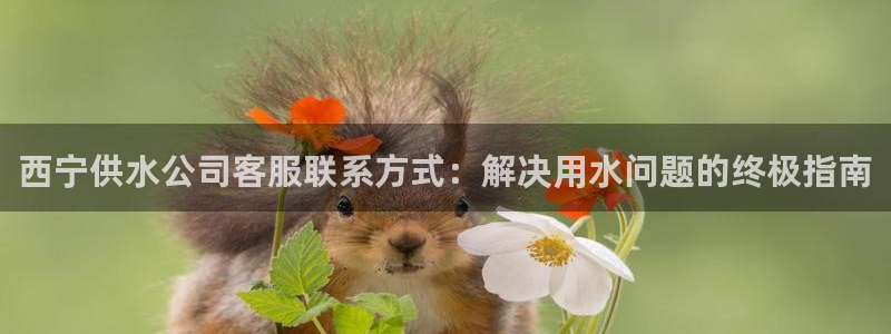 球友会破解码