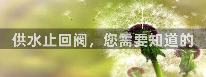球友会官方网站下载