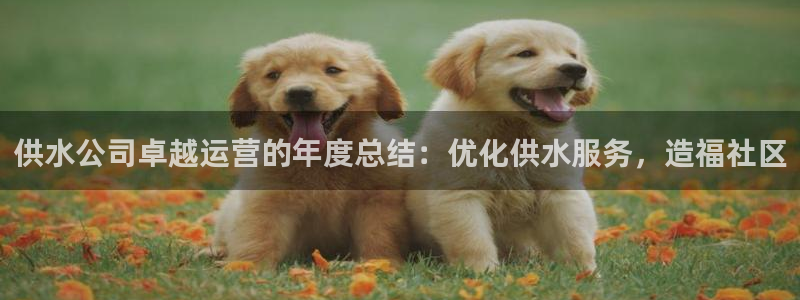 球友会赛程