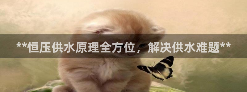 qy球友会体育