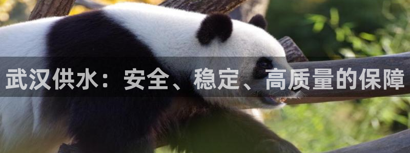 球友会体育app下载安卓