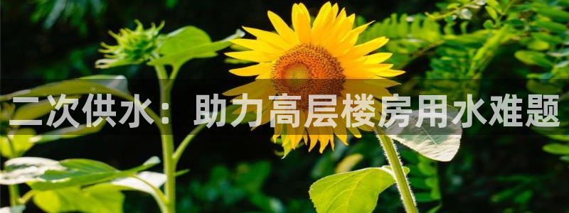 球友会聚餐发言稿简短