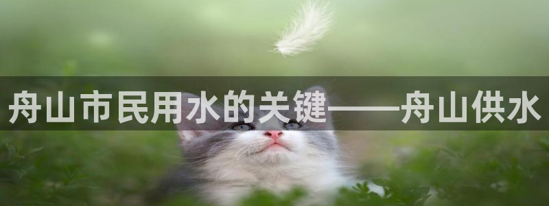 球友会登录