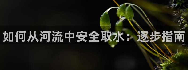 球友会官网入口在哪里