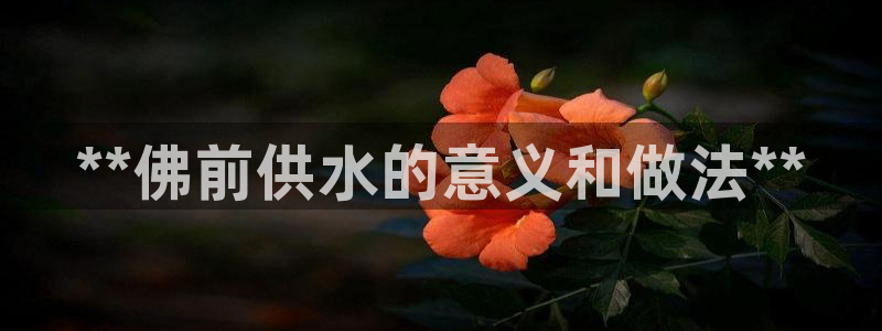 球友会体育app下载安卓最新版