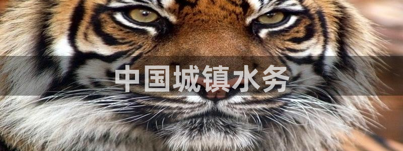 QY球友会体育官方平台