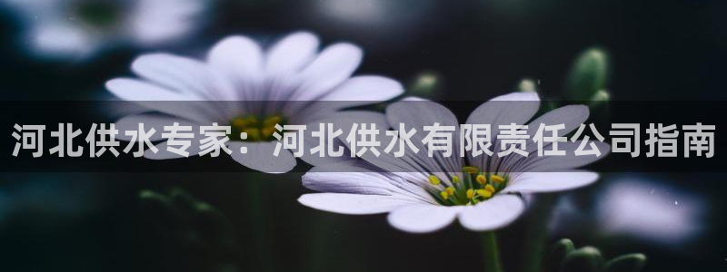 球友会app官网