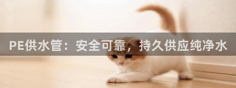 球友会比赛结果查询网站