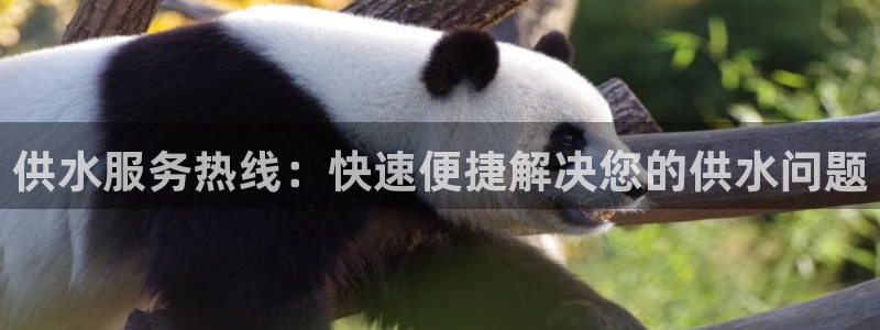 球友会友谊赛赛程