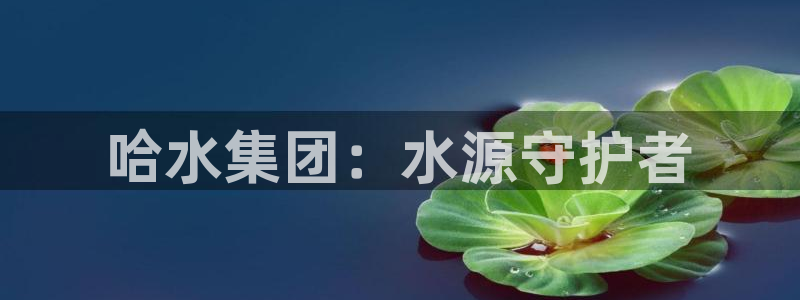 球友会友谊赛赛程赛果