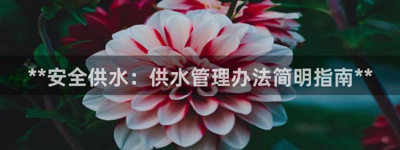 球友会聚餐发言怎么说