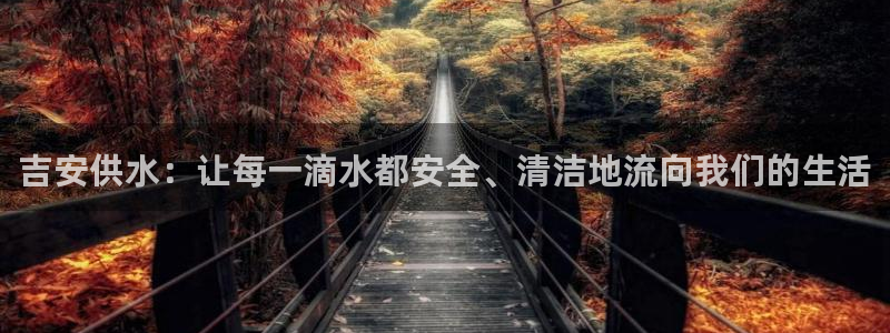 球友会apy