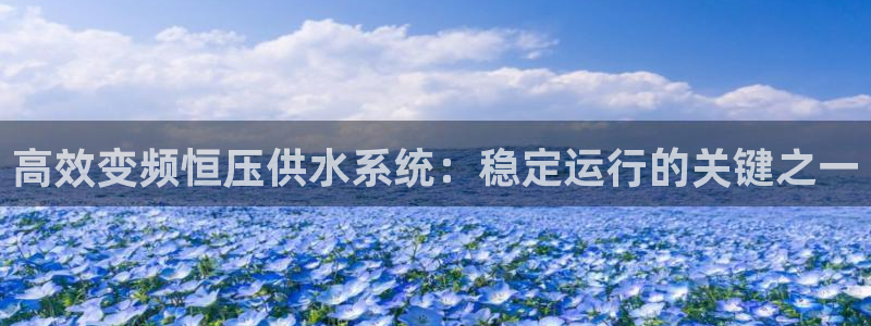 球友会英文怎么说呢翻译