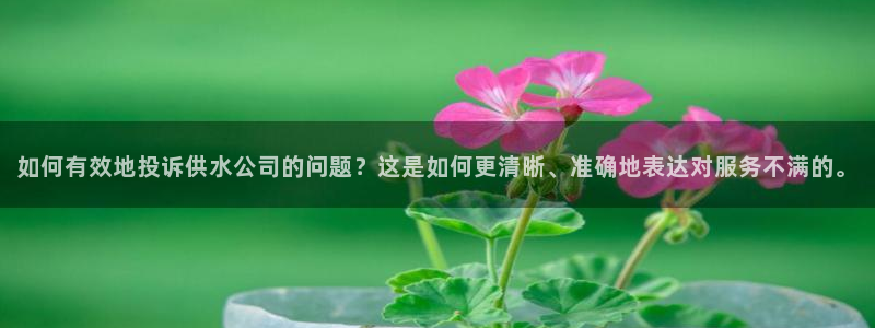 球友会提现不到账