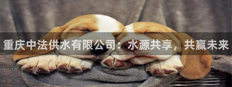 球友会qy