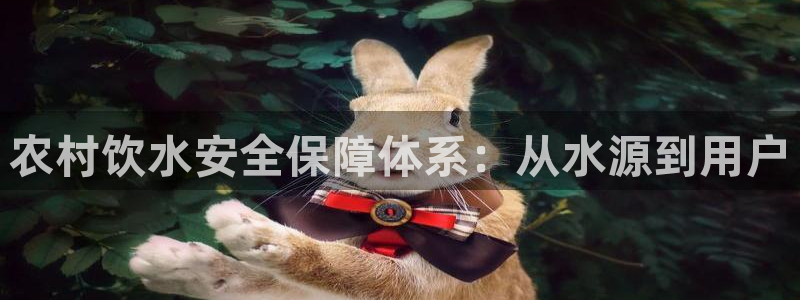 球友会apy