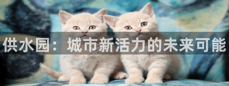 QY球友会体育官方平台