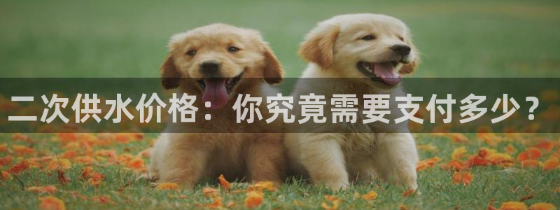 球友会怎么样